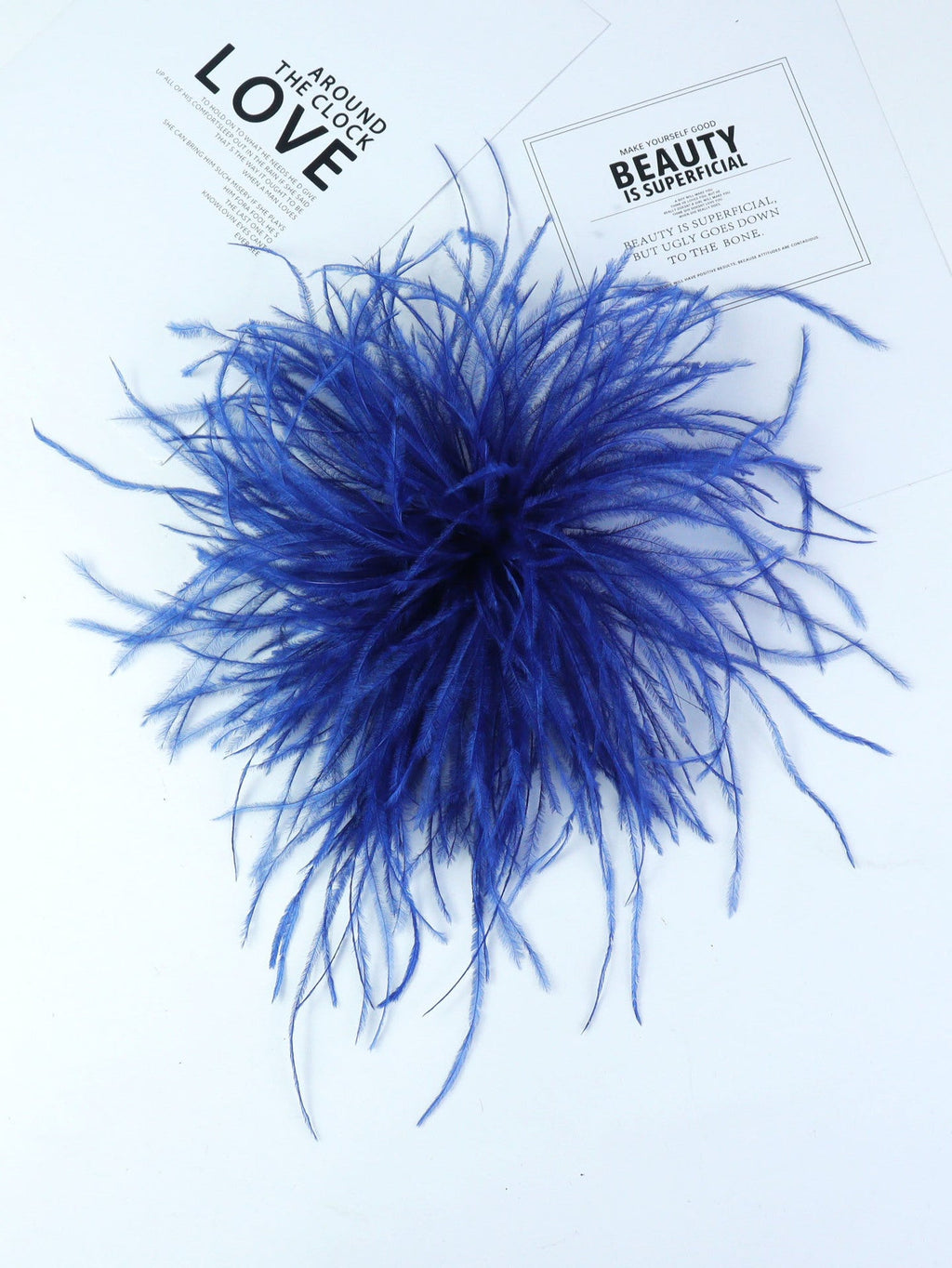 Fireworks Feathers Brooch