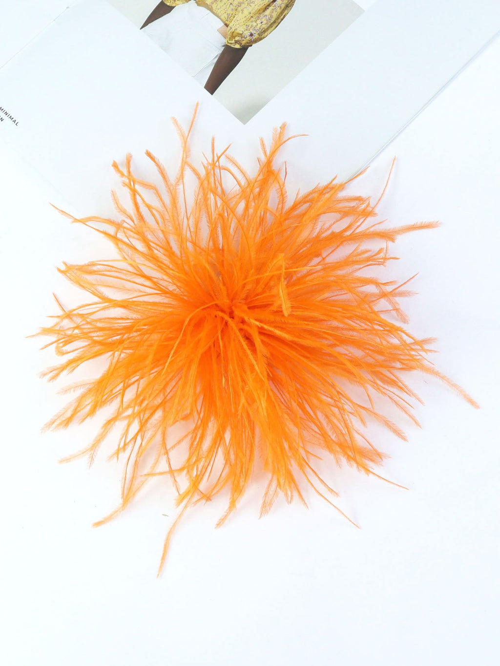 Fireworks Feathers Brooch