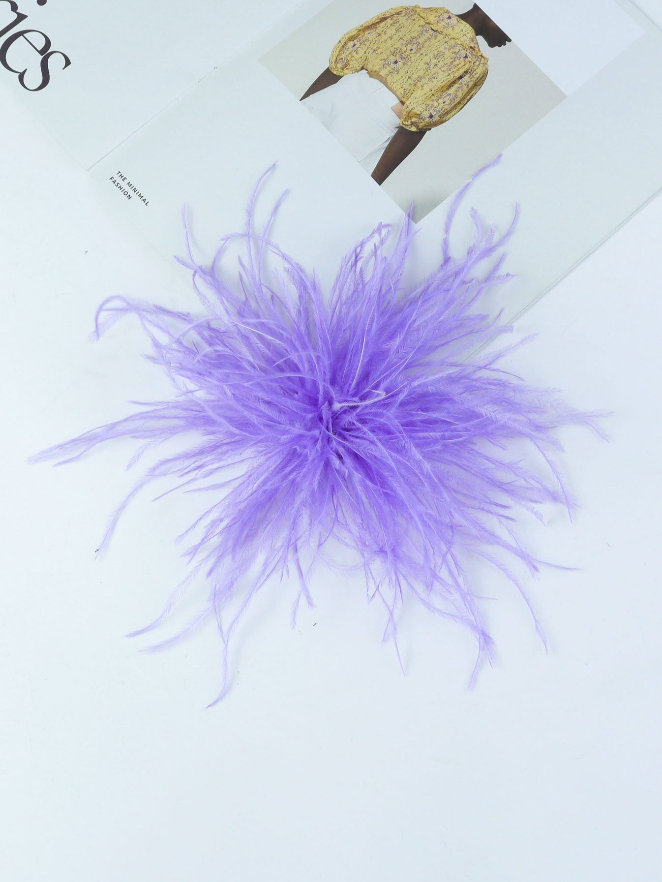 Fireworks Feathers Brooch
