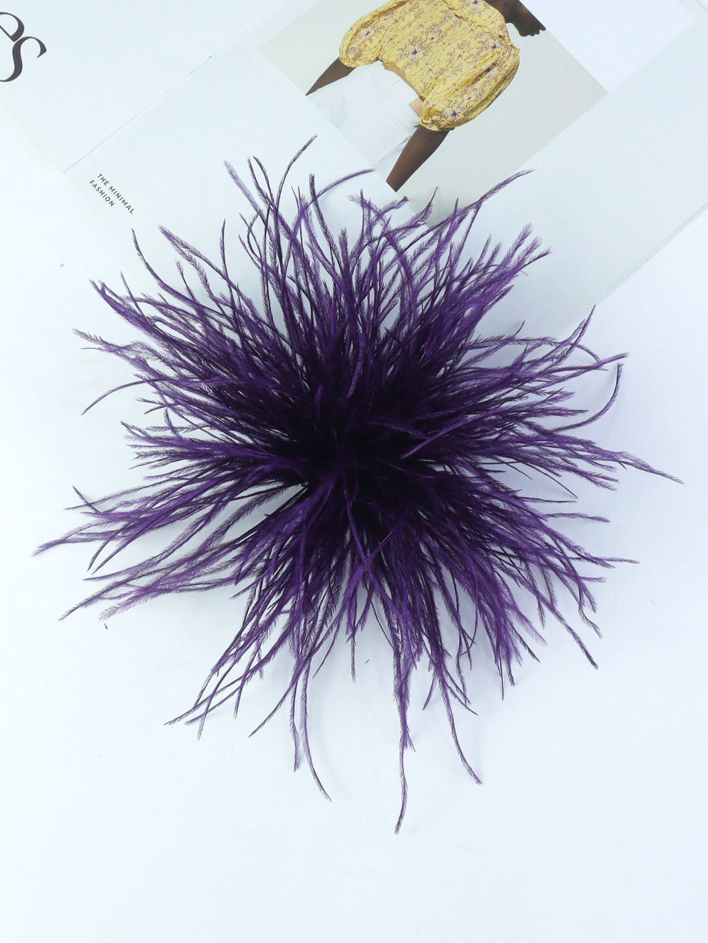 Fireworks Feathers Brooch