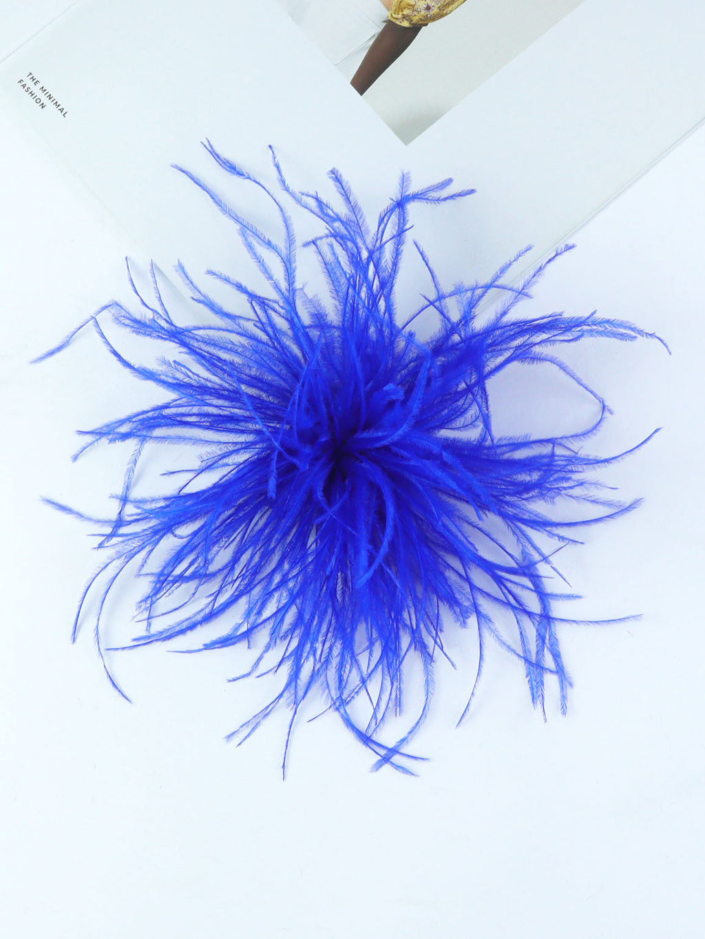 Fireworks Feathers Brooch