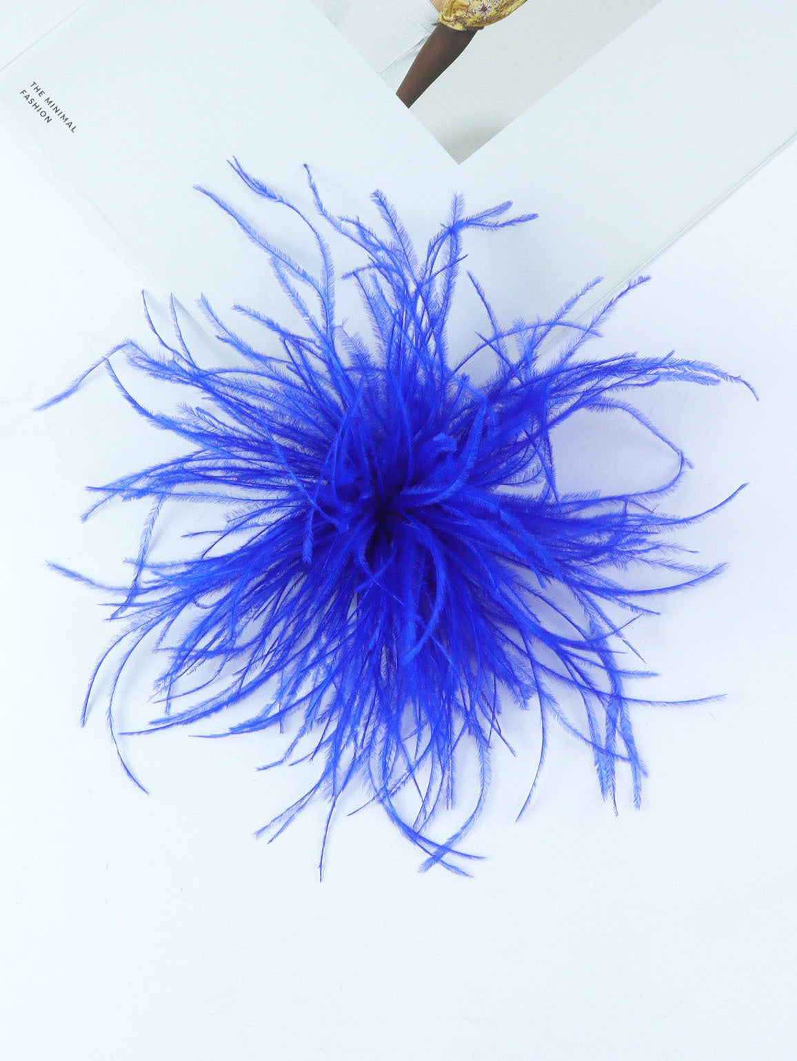 Fireworks Feathers Brooch
