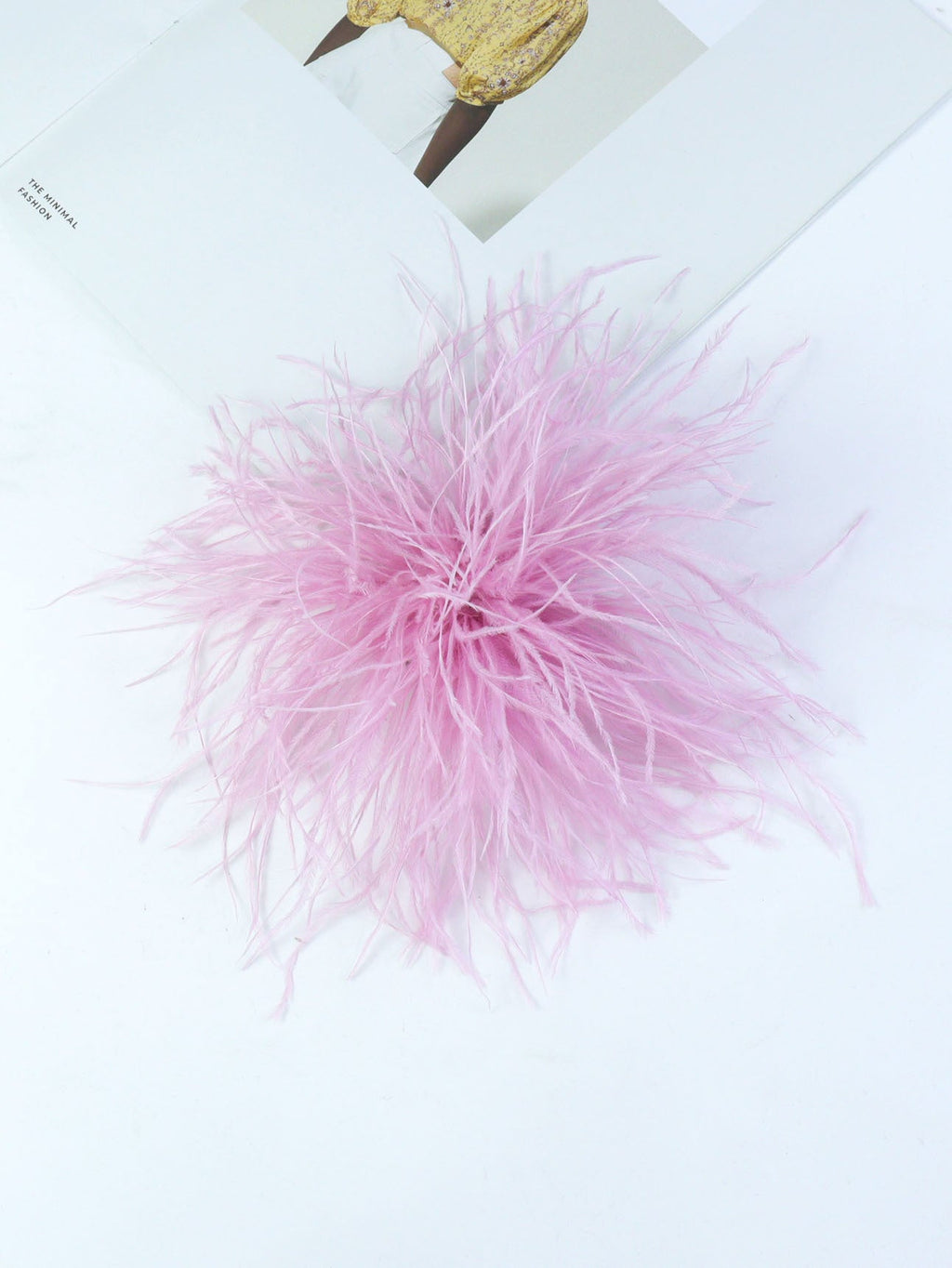 Fireworks Feathers Brooch