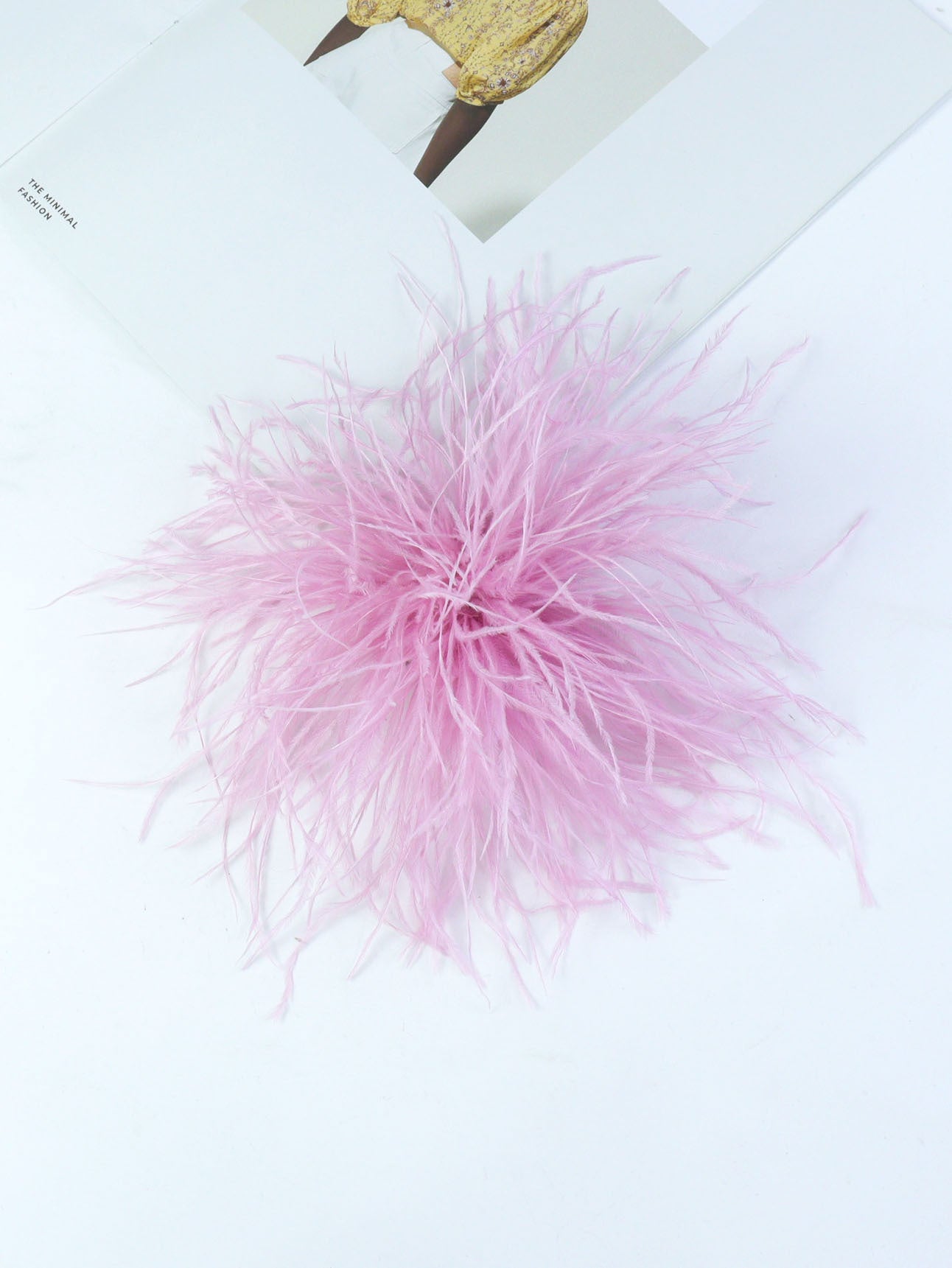 Fireworks Feathers Brooch