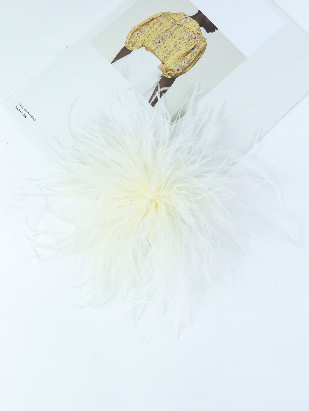 Fireworks Feathers Brooch