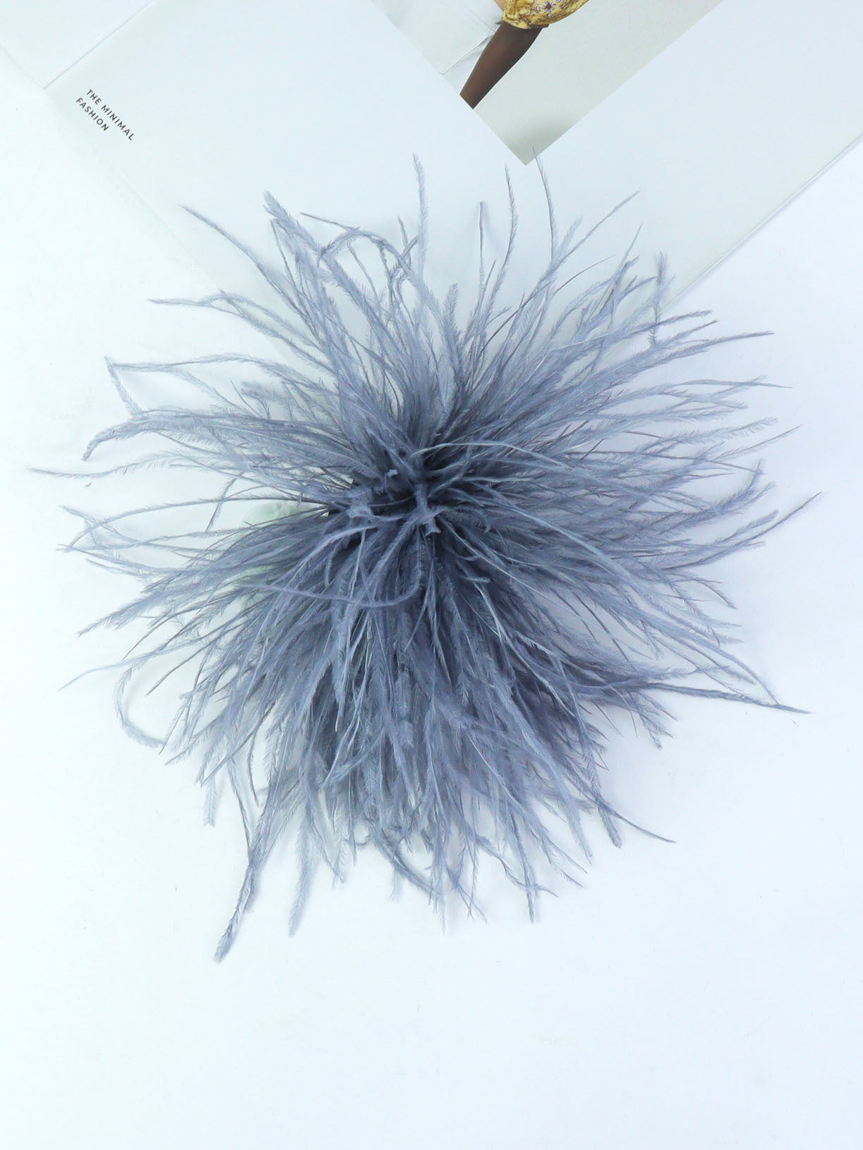 Fireworks Feathers Brooch
