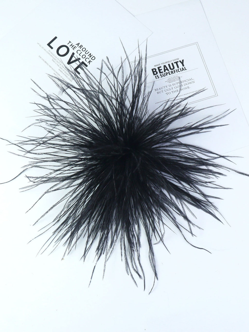 Fireworks Feathers Brooch