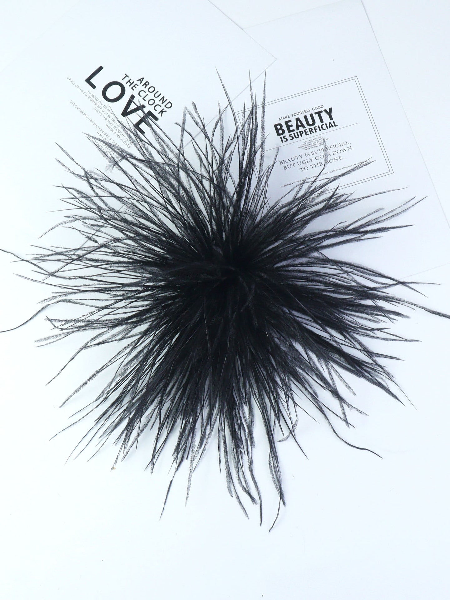 Fireworks Feathers Brooch