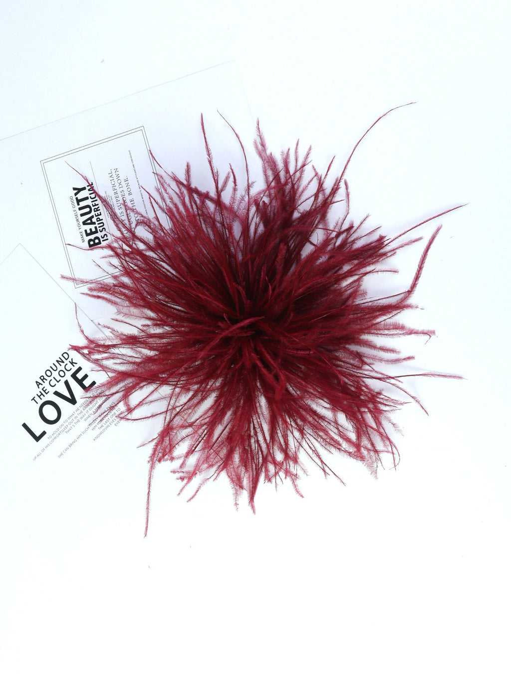 Fireworks Feathers Brooch