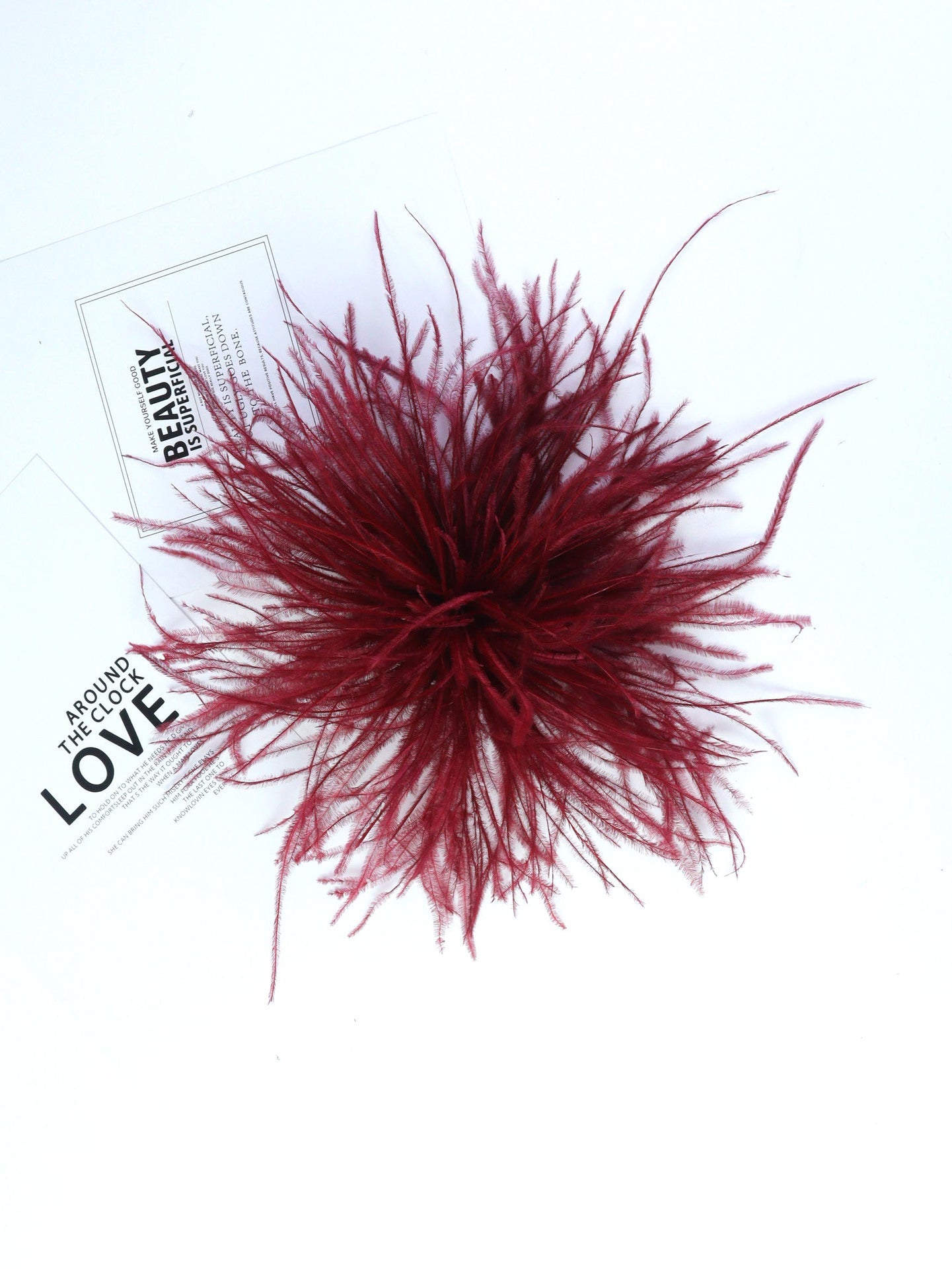 Fireworks Feathers Brooch