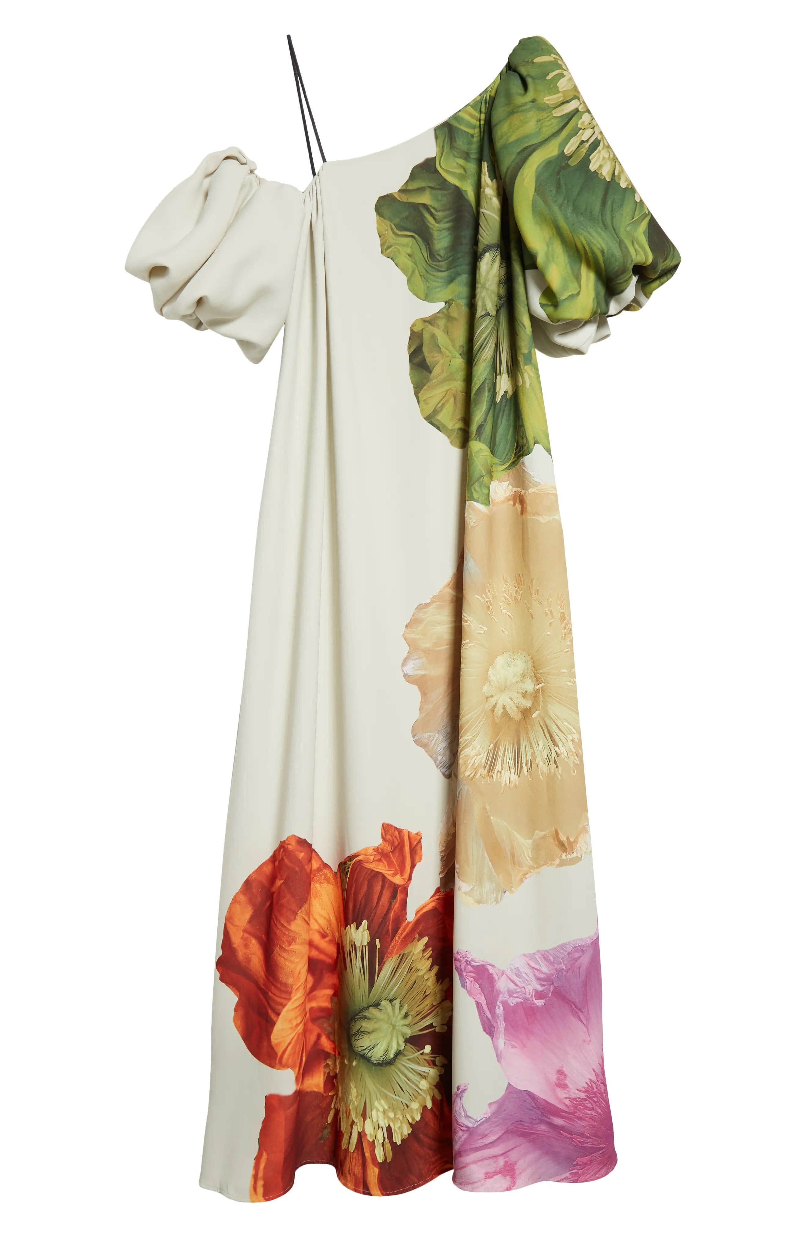 Payton Floral Asymmetric Neck Maxi Dress